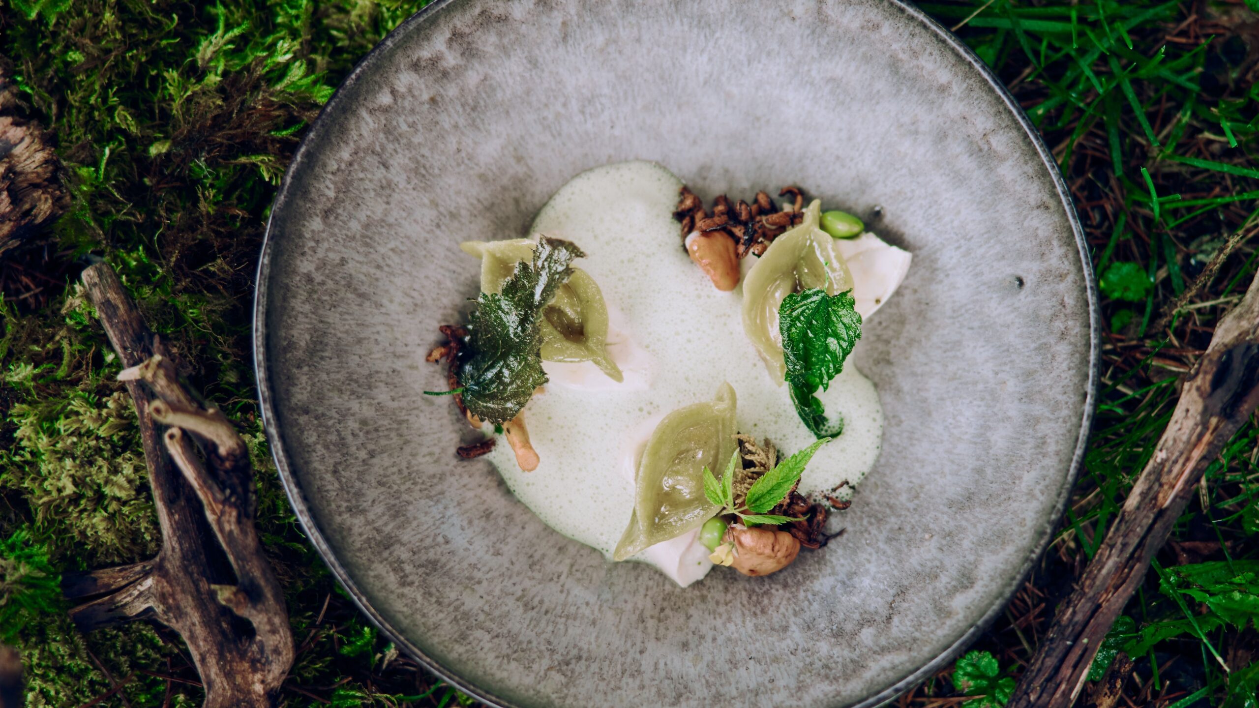 Gericht Waldrand Holunder und Brennessel